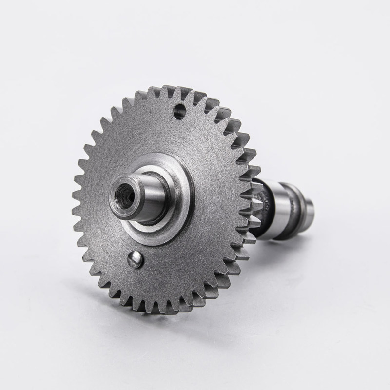 OEM Gegoten Ductiel IJzeren Nokkenas Fabrikant Voor Buitenboordmotor